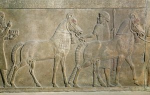 Relief représentant les tributaires de Sargon II, du palais de Sargon II à Khorsabad, Irak